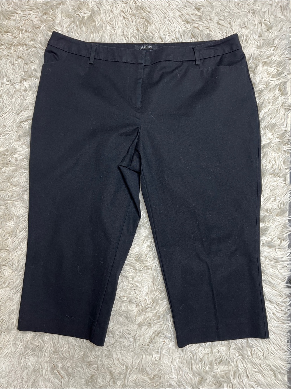 APT. 9 CAPRIS